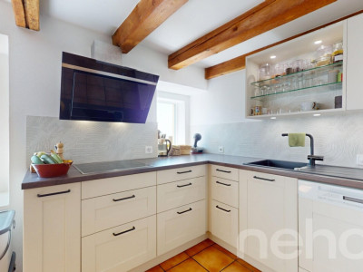 Appartement 4.5 pièces rénové avec cachet et jardins partagés image 1