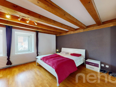 Appartement 4.5 pièces rénové avec cachet et jardins partagés image 8