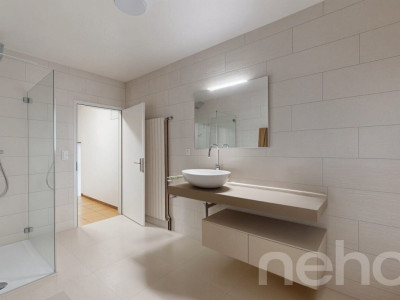 Appartement 4.5 pièces rénové avec cachet et jardins partagés image 9