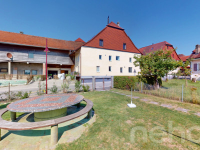 Appartement 4.5 pièces rénové avec cachet et jardins partagés image 10