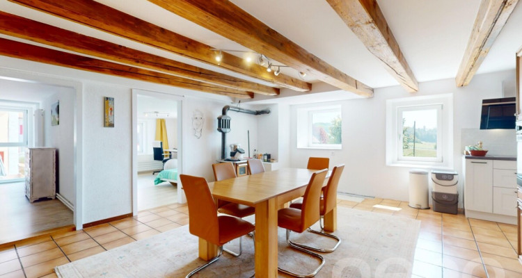 Appartement 4.5 pièces rénové avec cachet et jardins partagés image 3