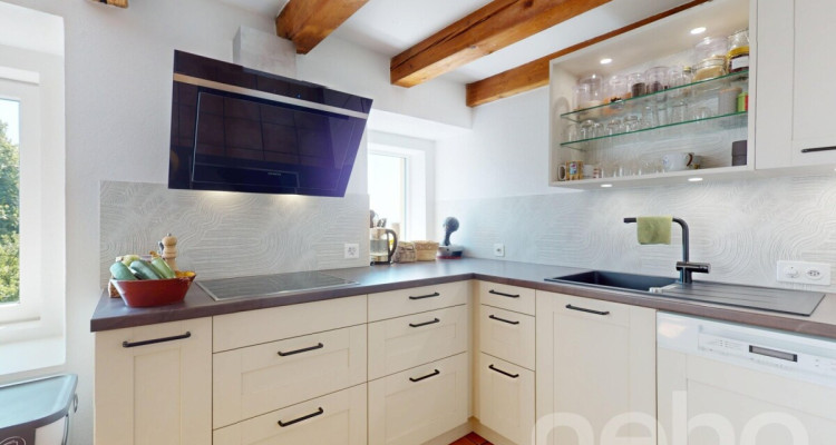 Appartement 4.5 pièces rénové avec cachet et jardins partagés image 1