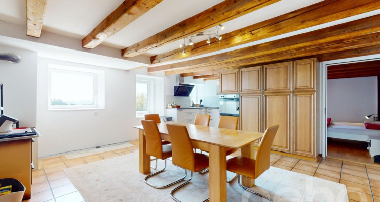 Appartement 4.5 pièces rénové avec cachet et jardins partagés image 4