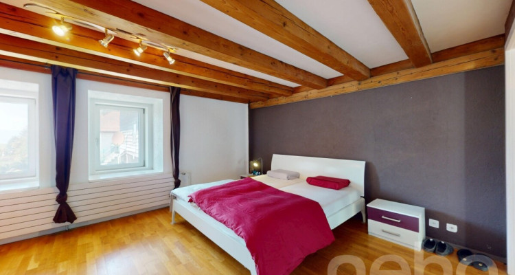 Appartement 4.5 pièces rénové avec cachet et jardins partagés image 8