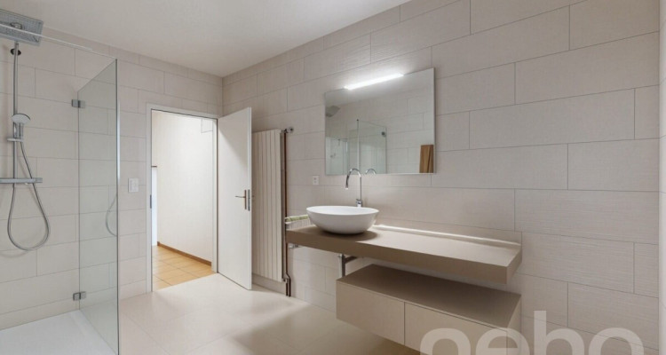 Appartement 4.5 pièces rénové avec cachet et jardins partagés image 9