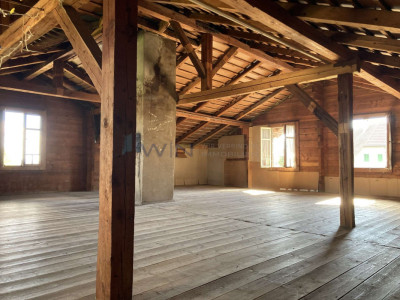 Geschichte erleben und ein Teil davon werden image 2