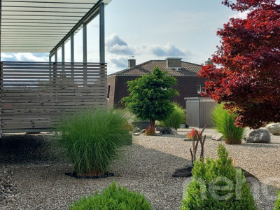 Grosszügiges Doppel- oder Einfamilienhaus mit traumhafter Aussicht image 5