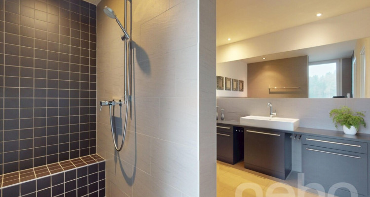 Grosszügiges Doppel-Einfamilienhaus mit traumhafter Aussicht image 10