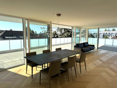 Splendide appartement duplex de 5.5 pièces en attique, grande terrasse image 1