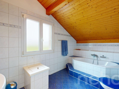 Belle Villa individuelle avec jardin à la campagne image 10