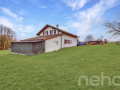 Belle Villa individuelle avec jardin à la campagne image 12