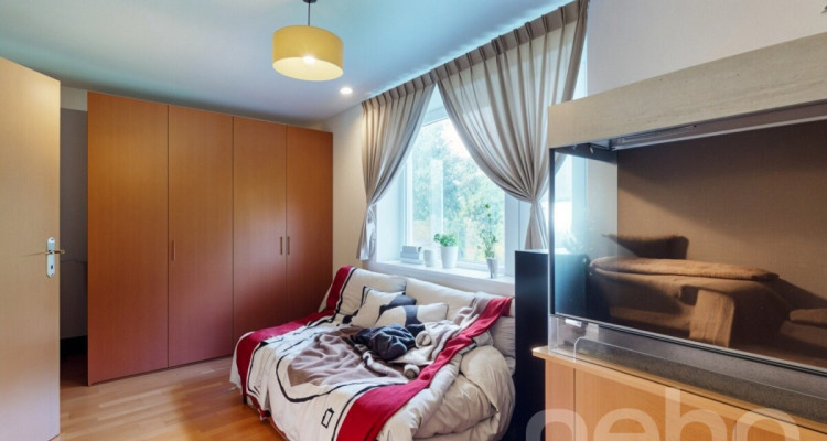 Attraktives Doppeleinfamilienhaus in familienfreundlicher Lage image 8