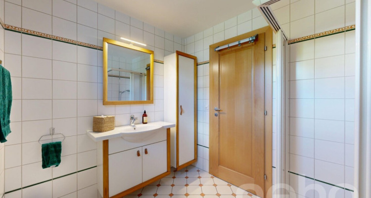 Splendide maison de 6.5p aux grands volumes avec terrasse et jardin image 9