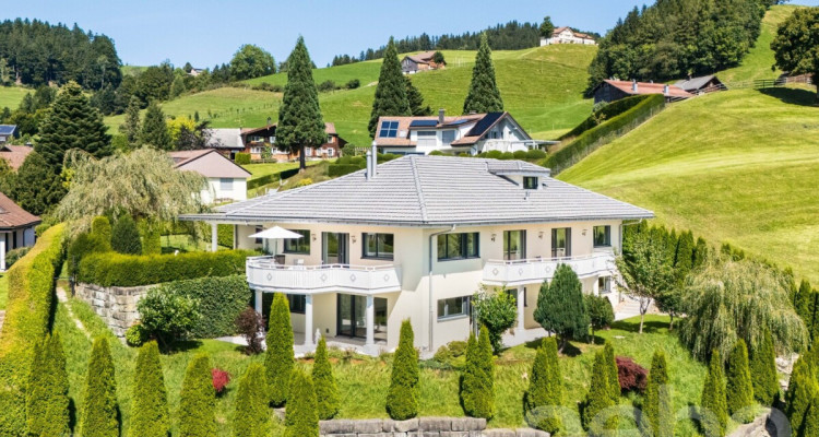 Exklusive Villa mit spektakulärer Weitsicht und gehobenem Ausbau image 2