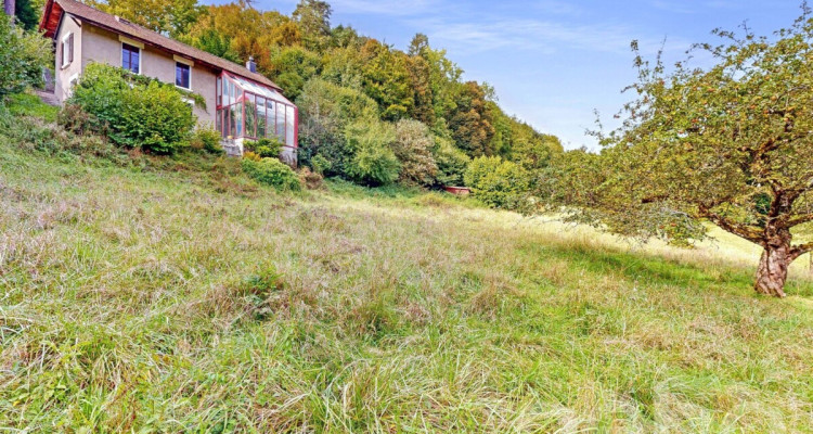 TERRAIN CONSTRUCTIBLE AVEC PROJET POUR 2 LOGEMENTS + ZONE VERTE image 8