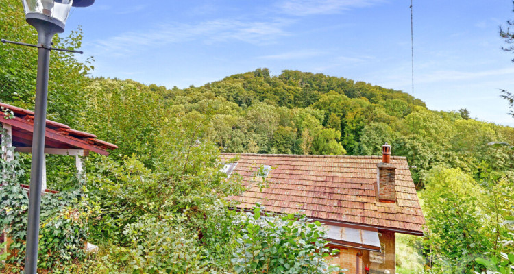 TERRAIN CONSTRUCTIBLE AVEC PROJET POUR 2 LOGEMENTS + ZONE VERTE image 10