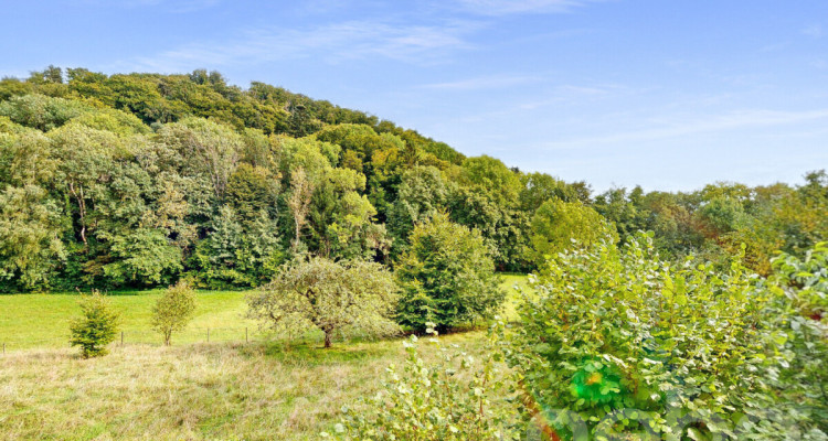 TERRAIN CONSTRUCTIBLE AVEC PROJET POUR 2 LOGEMENTS + ZONE VERTE image 12