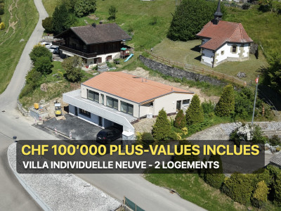 VILLA INDIVIDUELLE NEUVE - 2 LOGEMENTS - VUE PANORAMIQUE image 1