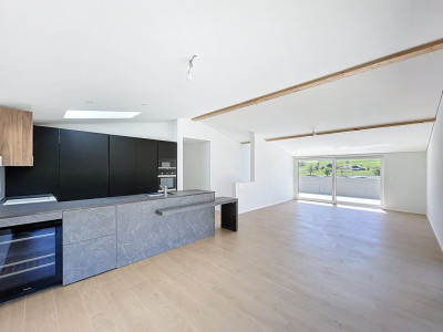 VILLA INDIVIDUELLE NEUVE - 2 LOGEMENTS - VUE PANORAMIQUE image 5