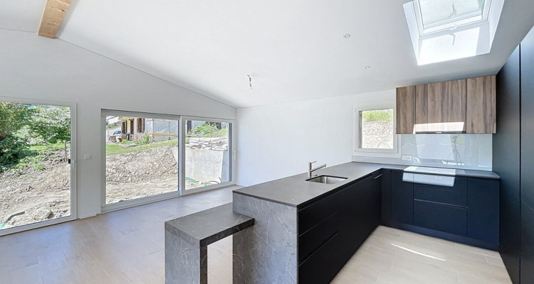 VILLA INDIVIDUELLE NEUVE - 2 LOGEMENTS - VUE PANORAMIQUE image 6