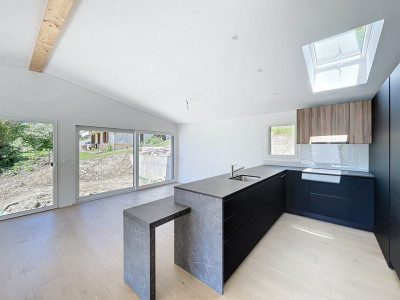 VILLA INDIVIDUELLE NEUVE - 2 LOGEMENTS - VUE PANORAMIQUE image 6