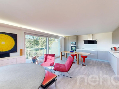 Duplex familial en attique avec vue dégagée et espaces extérieurs image 4