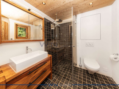 Luxus trifft Natur ? Ferienhit in der Ski-Metropole image 8