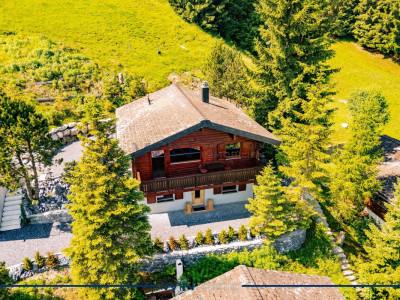 Luxus trifft Natur ? Ferienhit in der Ski-Metropole image 9