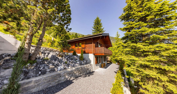 Luxus trifft Natur ? Ferienhit in der Ski-Metropole image 5