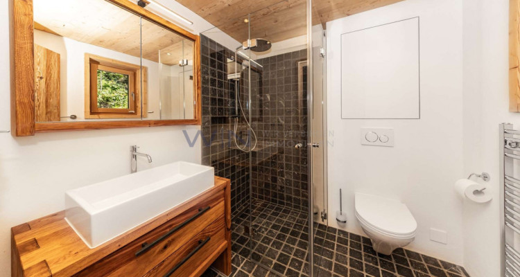 Luxus trifft Natur ? Ferienhit in der Ski-Metropole image 8