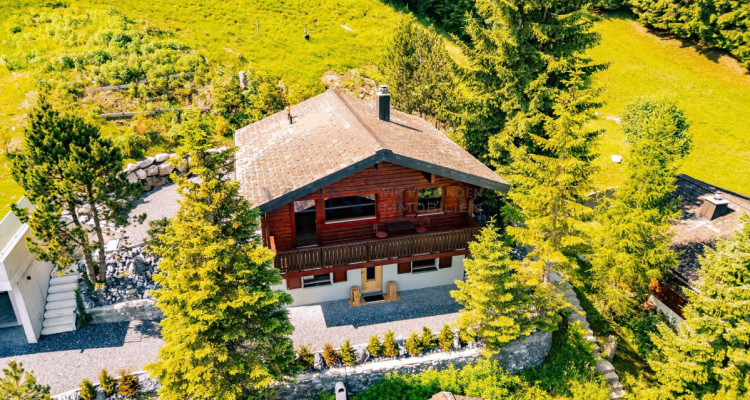 Luxus trifft Natur ? Ferienhit in der Ski-Metropole image 9