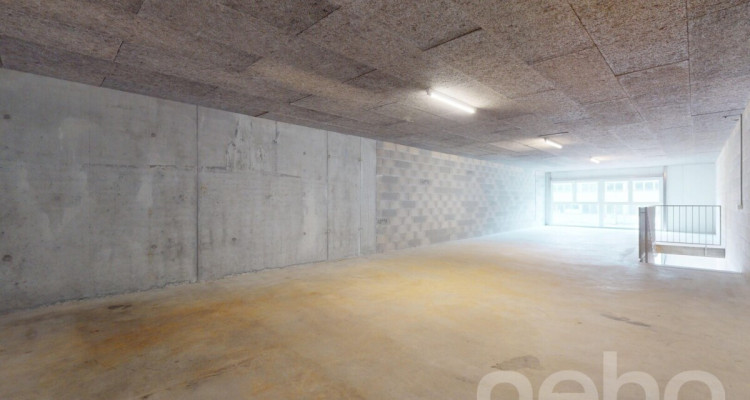 Local polyvalent pour exploitants ou investisseurs image 7