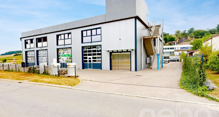 Local polyvalent pour exploitants ou investisseurs image 9