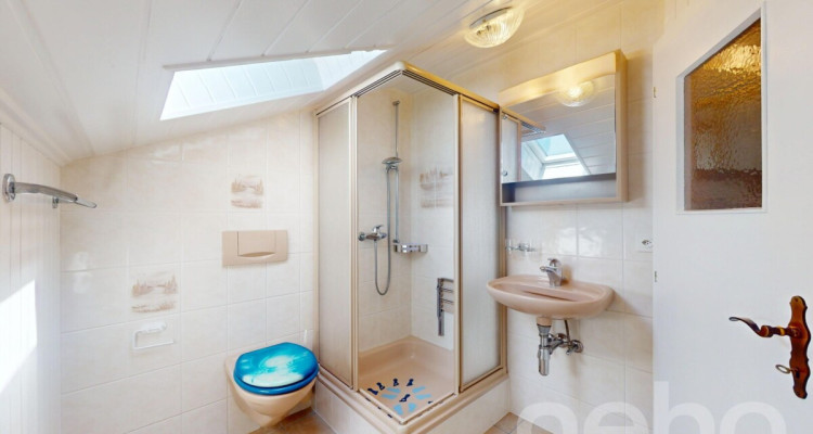 Maison pluri-familiale de deux appartements en PPE - Le Bouveret image 8