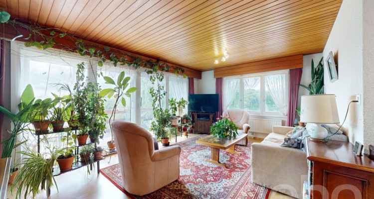 Charmante maison avec vue dégagée et fort potentiel image 5