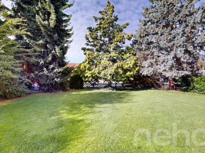 Charmantes 5.5-Zimmer-Haus mit viel Platz und idyllischem Garten image 1