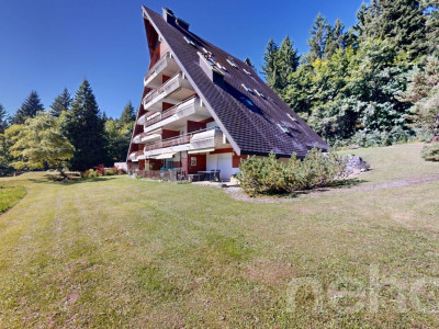 Magnifique 3.5 pièces traversant-Vue Muverans et Dents du Midi-Gryon image 1