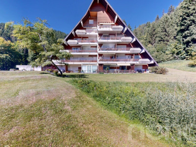 Magnifique 3.5 pièces traversant-Vue Muverans et Dents du Midi-Gryon image 12