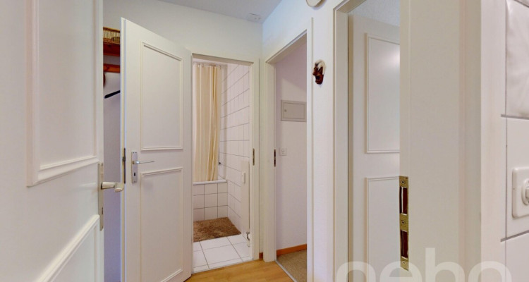 Magnifique 3.5 pièces traversant-Vue Muverans et Dents du Midi-Gryon image 8