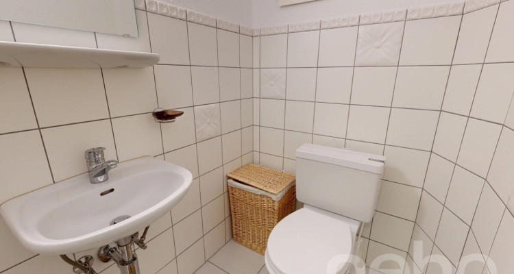 Magnifique 3.5 pièces traversant-Vue Muverans et Dents du Midi-Gryon image 10