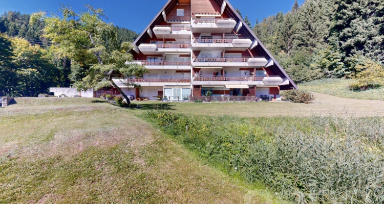 Magnifique 3.5 pièces traversant-Vue Muverans et Dents du Midi-Gryon image 12