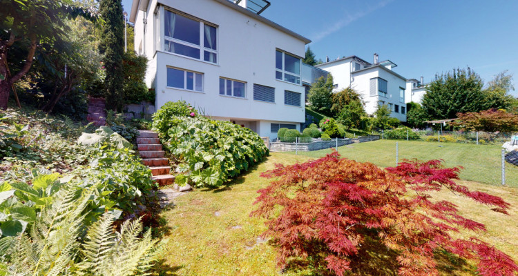 Eine Perle in Horgen - Panorama Weitsicht image 1