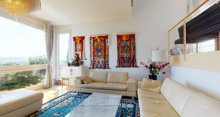 Eine Perle in Horgen - Panorama Weitsicht image 6