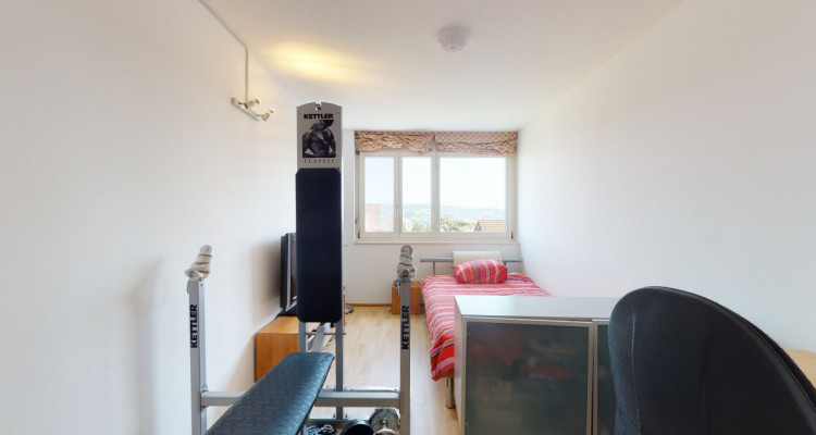 Eine Perle in Horgen - Panorama Weitsicht image 12