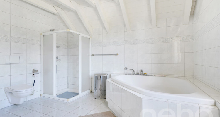 Grosszügiges Einfamilienhaus mit Garten und Bergsicht in Buchs SG image 12