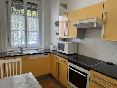 Beautiful Furnished 4 pieces Apartment Carouge (Geneva) image 3