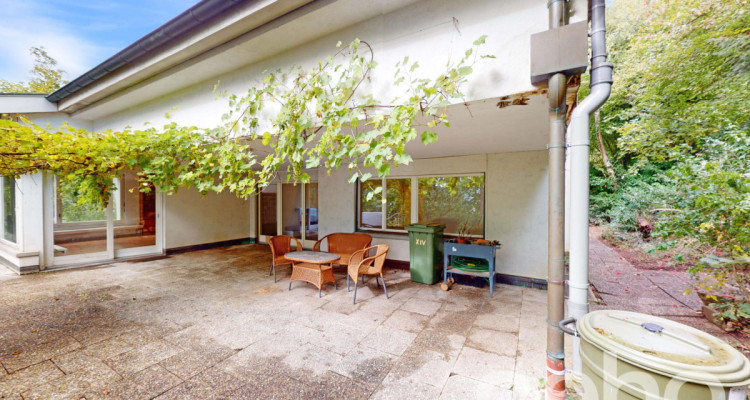 13 Zimmer Villa (502m2) mit Hallenbad, Sauna und Lift an bester Lage image 2