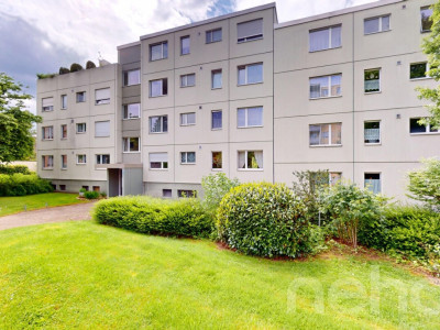 Renovierte 4.5-Zimmer-Wohnung mit unverbaubarer Aussicht image 11