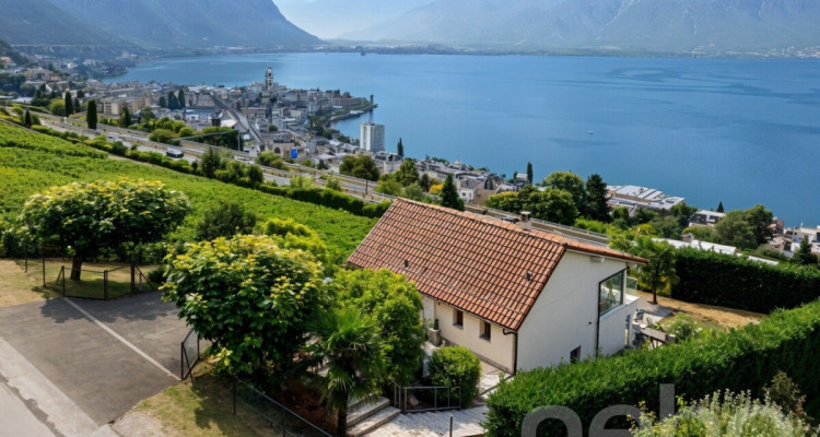 Villa d?exception avec vue imprenable sur le lac Léman image 3
