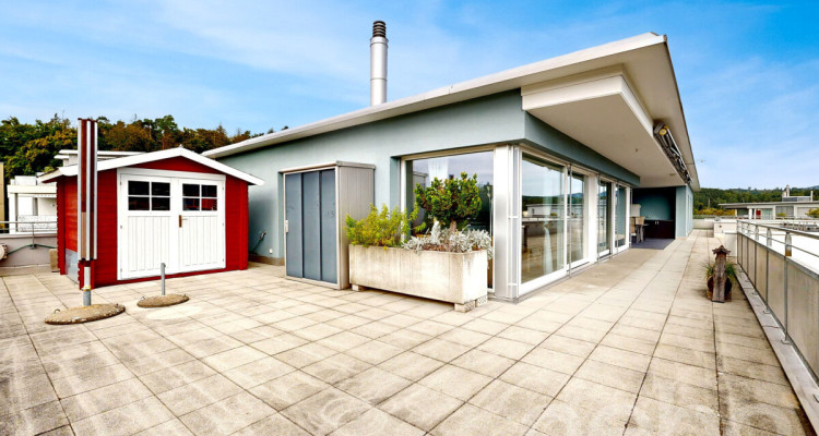 Grosszügige 5.5-Zimmer-Attikawohnung mit Liftzugang und Weitblick image 11